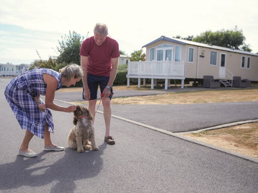dog walks at littlesea haven caravan park