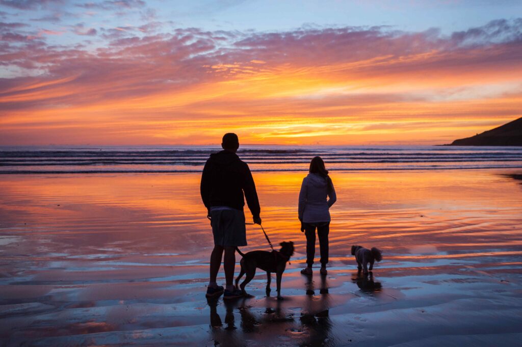 two people standing on saunton sands with dogs ar sunset
