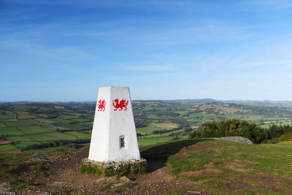 white stone with welsh dragon painted red at Mynydd Illtud, Mid Wales, Wales