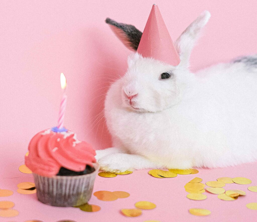 White Rabbit With Pink Party Hat sitting beside a Cupcake with Pink Frosting and Candle