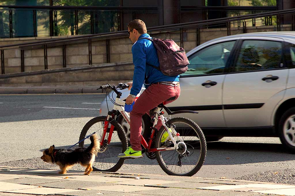 A man rides a bicycle with a small dog on a leash through Liverpool city centre