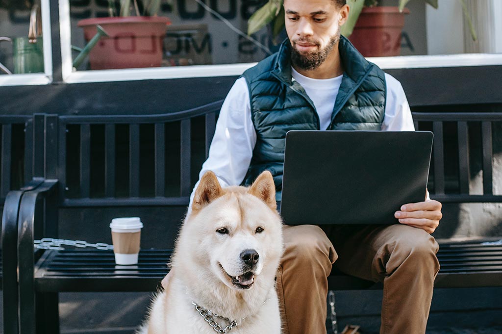 A man sits on a bench with a takeaway coffee and a laptop, next to a large, fluffy dog on a leash