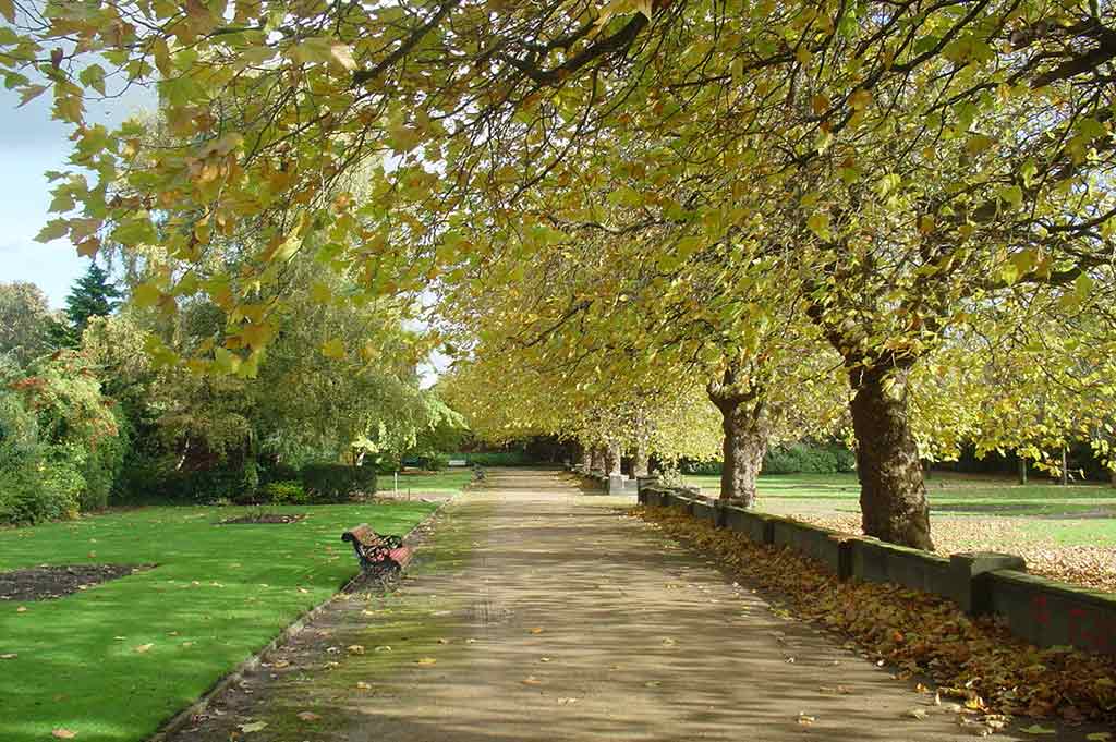A tree-lined pathway in Liverpool's Wavertree Botanic Gardens during autumn