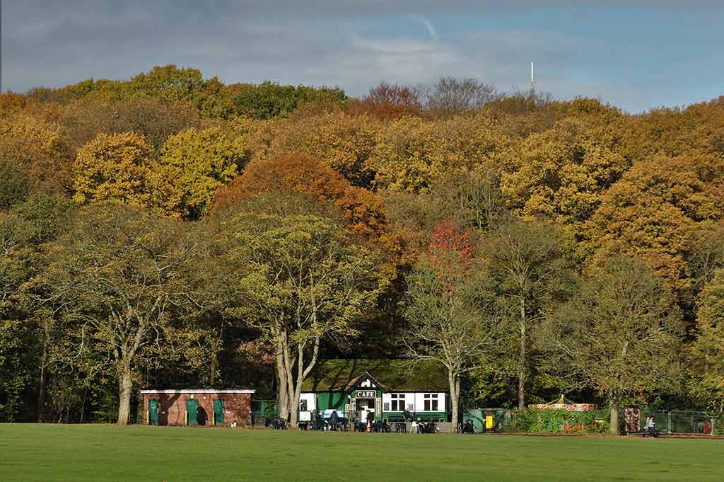A wide shot of the cafe at Endcliffe Park in autumn, nestled into the woods, with people dining on outdoor seating in front