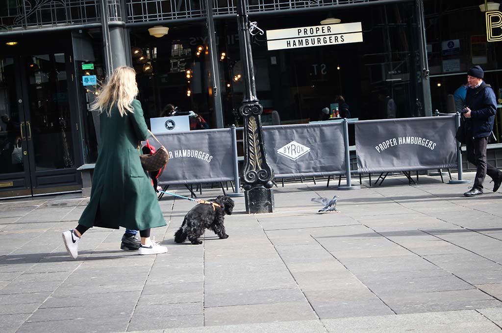 A woman in a green winter coat walks a black dog along the pavement in Newcastle