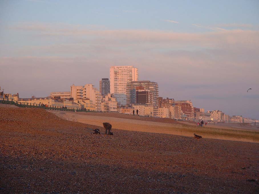 Dogs and people walk on a beach with Brighton and Hove city in the background