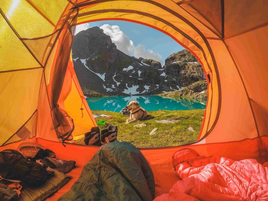 View from Tent on Dog Lying in Nature in Mountains Landscape