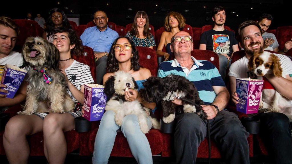 Bath Little Theatre dog friendly cinema screenings