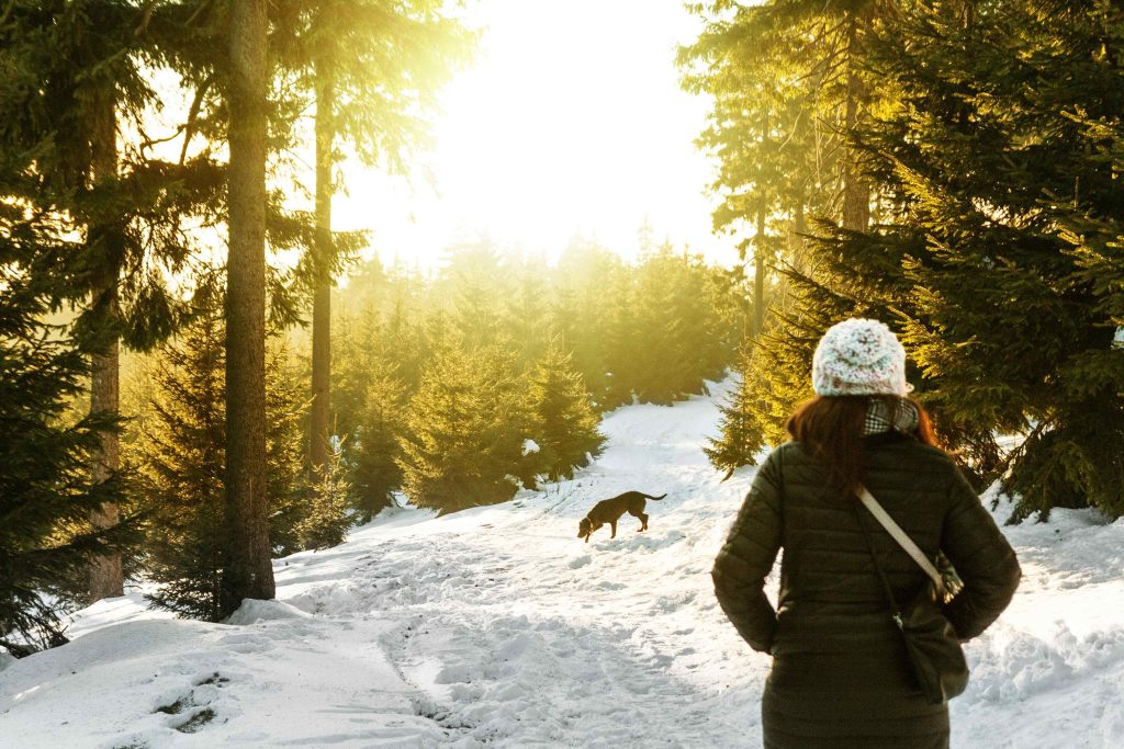 Rear View of Woman in Snow Covered Forest with brown labrador