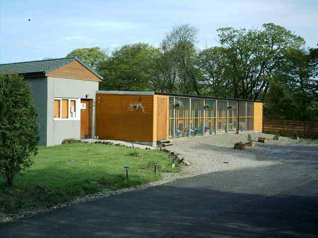 holmbyre cattery