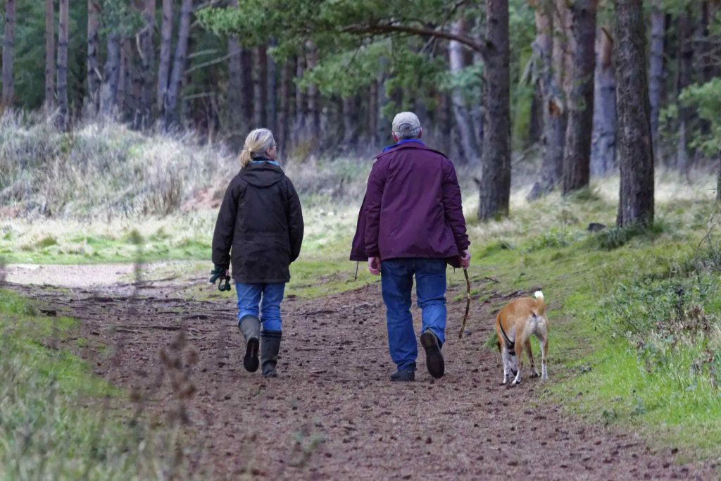 older couple walking a dog in woods
